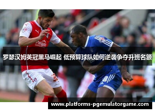 罗瑟汉姆英冠黑马崛起 低预算球队如何逆袭争夺升班名额