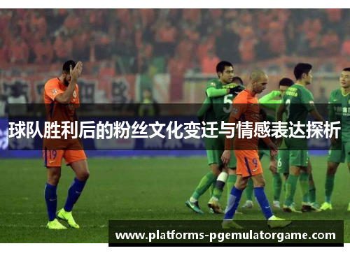 球队胜利后的粉丝文化变迁与情感表达探析 球队胜利后的粉丝文化变迁与情感表达探析