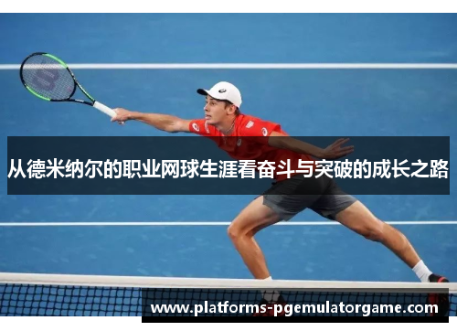从德米纳尔的职业网球生涯看奋斗与突破的成长之路