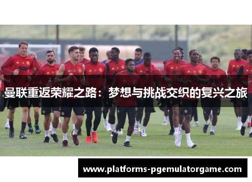 曼联重返荣耀之路：梦想与挑战交织的复兴之旅