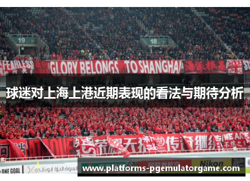 球迷对上海上港近期表现的看法与期待分析
