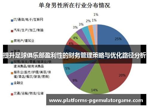 提升足球俱乐部盈利性的财务管理策略与优化路径分析