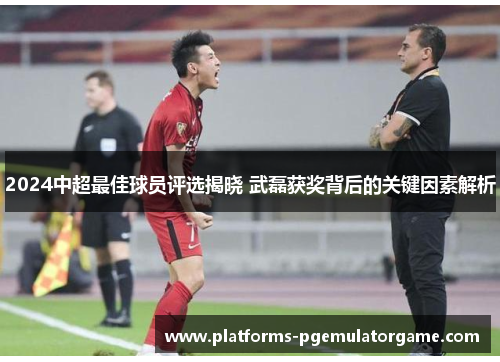 2024中超最佳球员评选揭晓 武磊获奖背后的关键因素解析