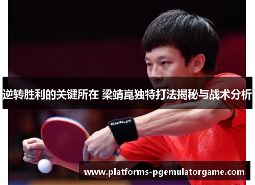逆转胜利的关键所在 梁靖崑独特打法揭秘与战术分析
