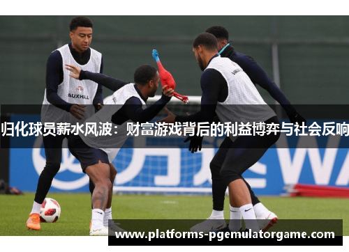 归化球员薪水风波：财富游戏背后的利益博弈与社会反响
