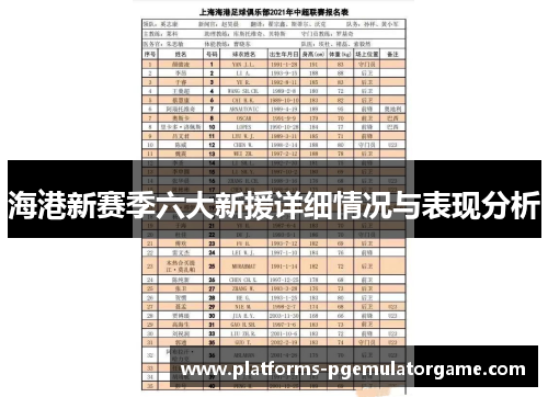 海港新赛季六大新援详细情况与表现分析