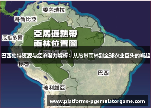 巴西独特资源与经济潜力解析：从热带雨林到全球农业巨头的崛起
