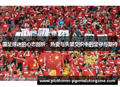 国足球迷的心态剖析：热爱与失望交织中的坚守与期待