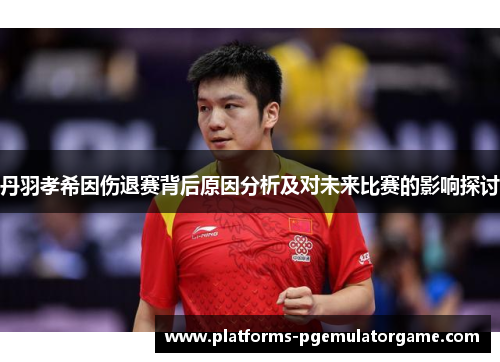 丹羽孝希因伤退赛背后原因分析及对未来比赛的影响探讨