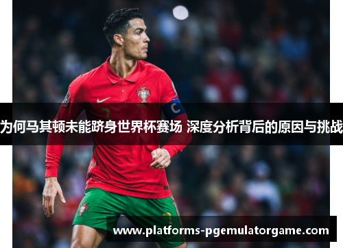 为何马其顿未能跻身世界杯赛场 深度分析背后的原因与挑战