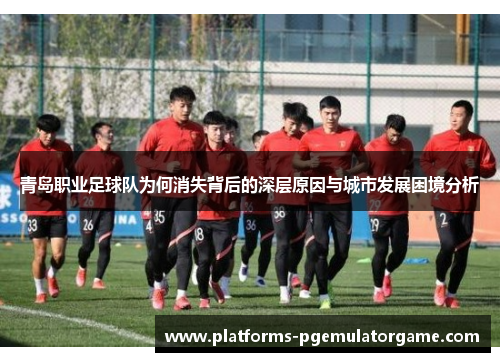 青岛职业足球队为何消失背后的深层原因与城市发展困境分析