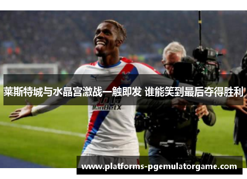 莱斯特城与水晶宫激战一触即发 谁能笑到最后夺得胜利