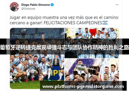 葡萄牙逆转捷克展现顽强斗志与团队协作精神的胜利之路